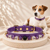 Jack Russell Terrier wearing an amethyst and clear quartz crystal dog collar beside the matching purple collar