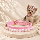 Yorkshire Terrier with a rose quartz and clear quartz pet collar for love and gentle care