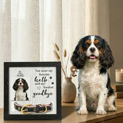 pet memorial frame with dog photo and collar holder displayed beside a Cavalier King Charles Spaniel