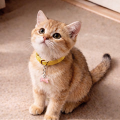 cat wearing a yellow collar with a pink crystal bone charm pet tag