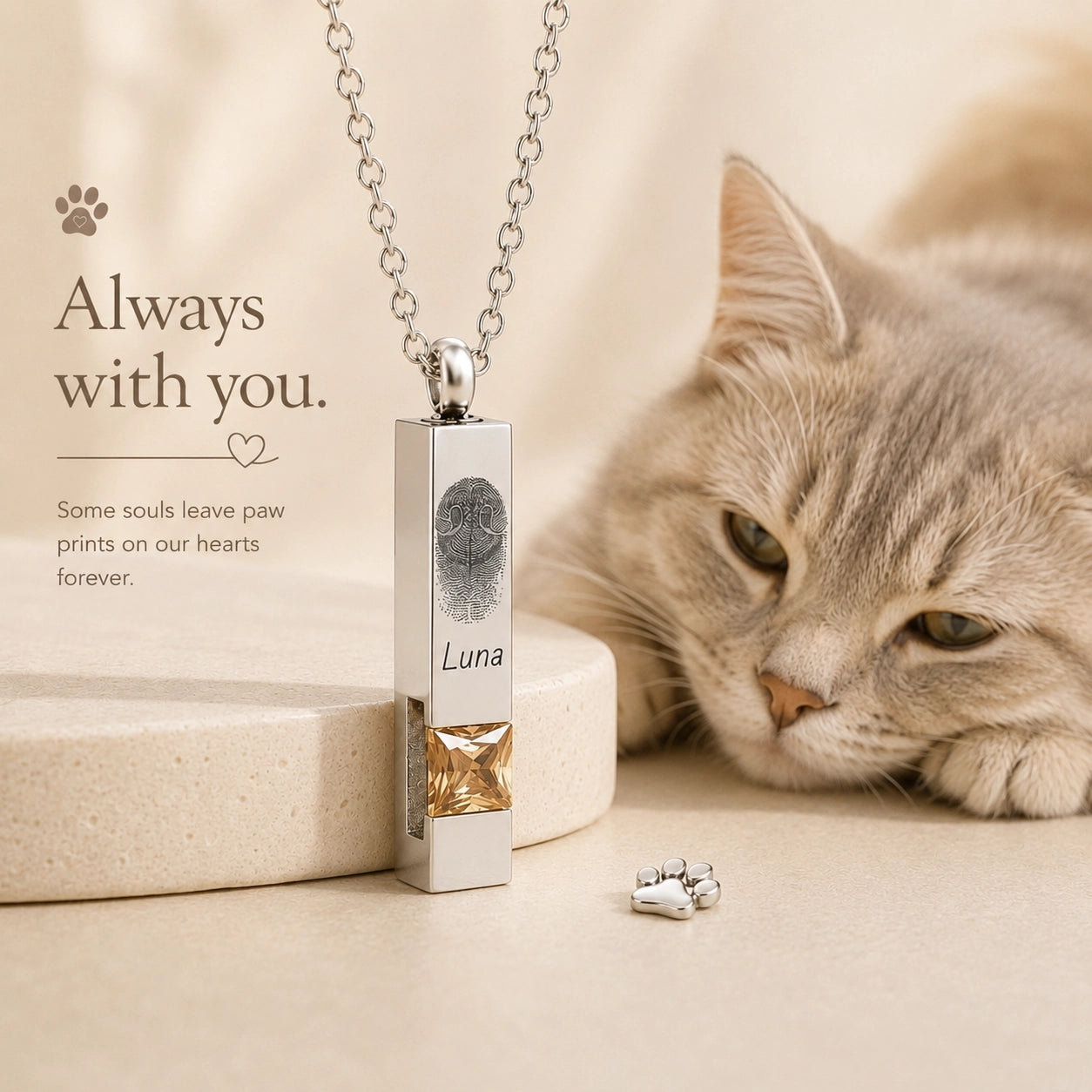 Personalized cat nose print necklace engraved with Luna and a golden birthstone beside a relaxed cat