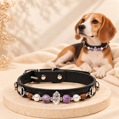 Beagle wearing a black amethyst and clear quartz dog collar, with matching collar displayed on a cream stone pedestal
