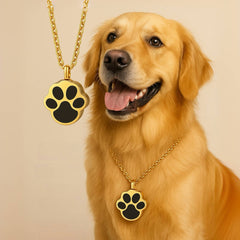 Dog wearing a gold necklace with a paw print pendant on a beige background
