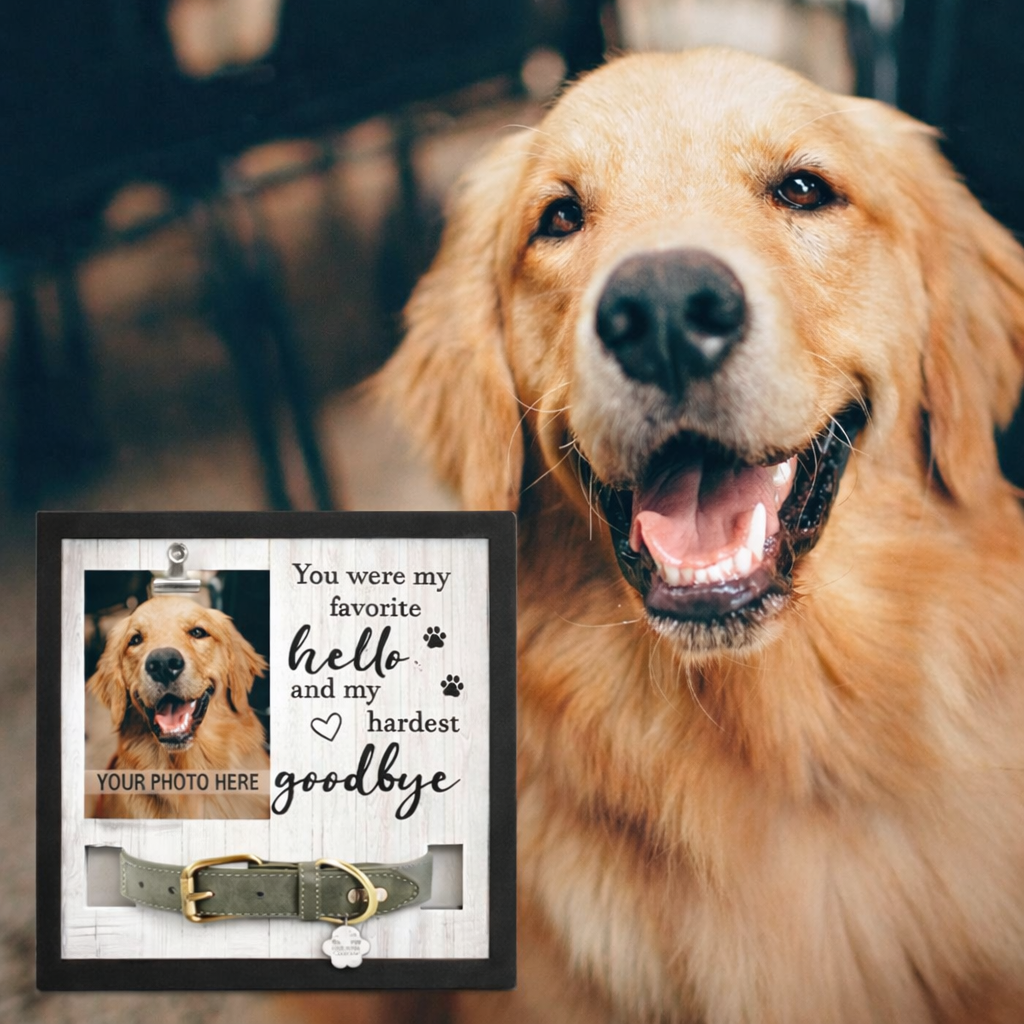 dog memorial picture frame with photo and collar holder beside a golden retriever for pet remembrance