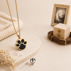 Gold paw print cremation necklace with pet ash keepsake pendant, memorial box, collar, and filling tools