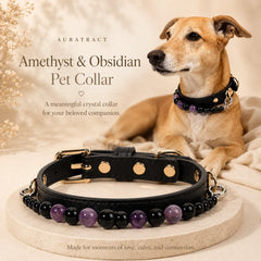 Amethyst and obsidian crystal dog collar for peace and protection