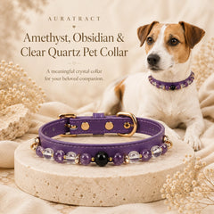 Jack Russell Terrier wearing an amethyst and clear quartz crystal dog collar beside the matching purple collar