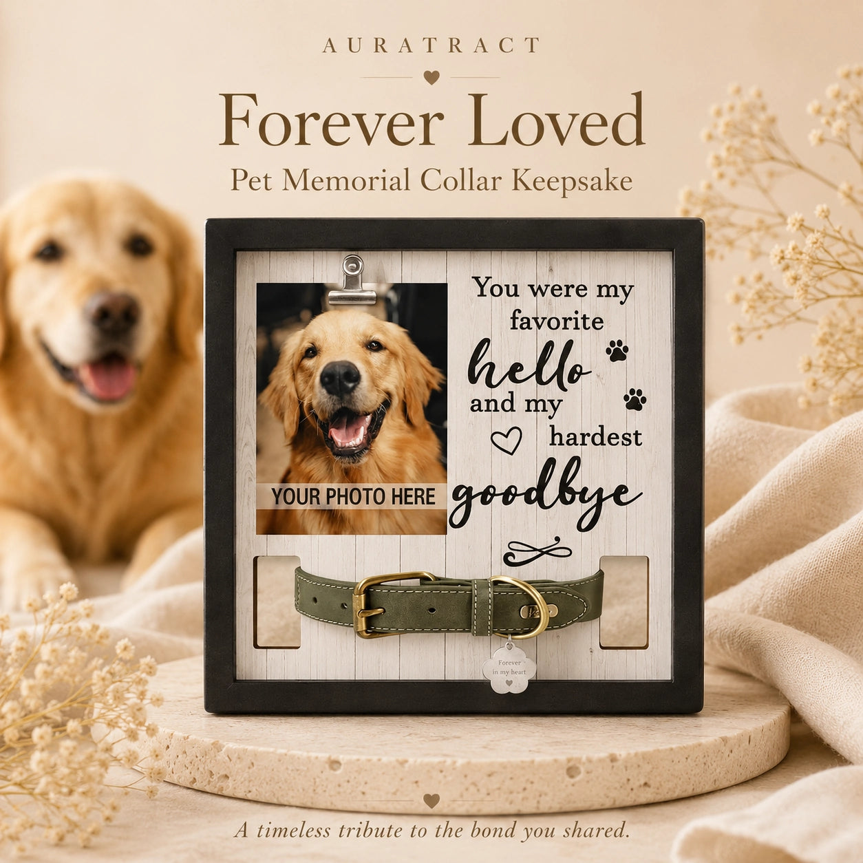 Pet memorial frame with collar holder displaying a treasured dog photo and collar keepsake