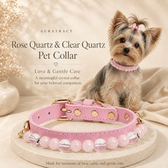 Yorkshire Terrier with a rose quartz and clear quartz pet collar for love and gentle care